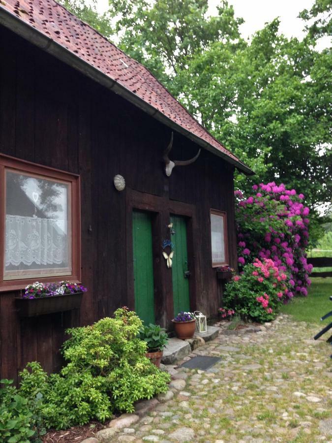 Reiterhof Winandy Villa Wietzendorf Exterior photo