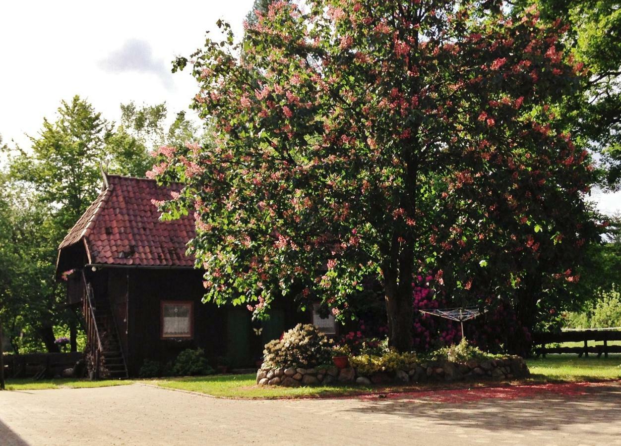 Reiterhof Winandy Villa Wietzendorf Exterior photo